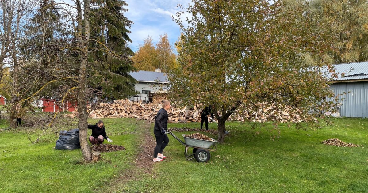 Advokaadibüroo Pallo&Partnerid OÜ meeskond aega annetamas. Foto: erakogu